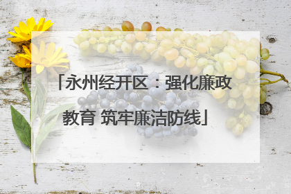 永州经开区：强化廉政教育 筑牢廉洁防线