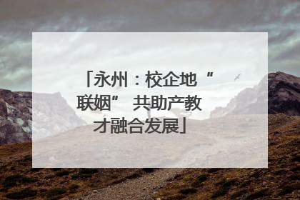 永州：校企地“联姻” 共助产教才融合发展