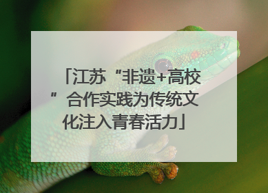 江苏“非遗+高校”合作实践为传统文化注入青春活力