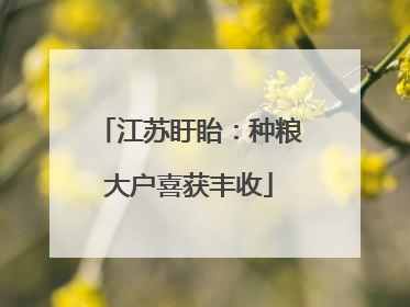 江苏盱眙：种粮大户喜获丰收