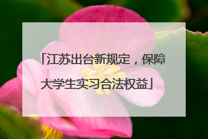 江苏出台新规定，保障大学生实习合法权益