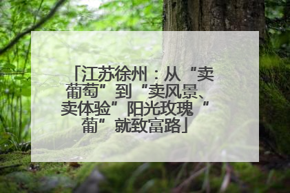 江苏徐州：从“卖葡萄”到“卖风景、卖体验”阳光玫瑰“葡”就致富路