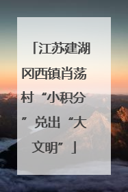 江苏建湖冈西镇肖荡村“小积分”兑出“大文明”