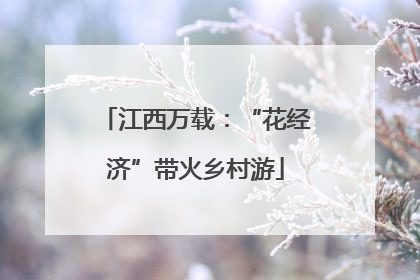 江西万载：“花经济”带火乡村游