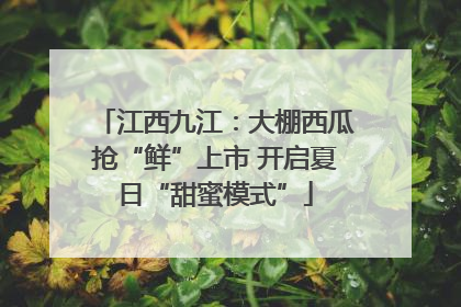 江西九江：大棚西瓜抢“鲜”上市 开启夏日“甜蜜模式”