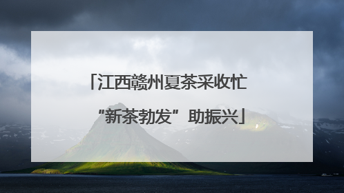 江西赣州夏茶采收忙 “新茶勃发”助振兴