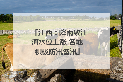 江西：降雨致江河水位上涨 各地积极防汛备汛