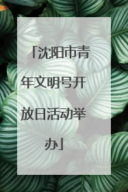 沈阳市青年文明号开放日活动举办