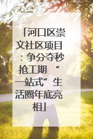 河口区崇文社区项目：争分夺秒抢工期 “一站式”生活圈年底亮相