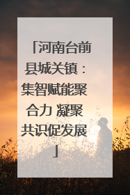 河南台前县城关镇：集智赋能聚合力 凝聚共识促发展