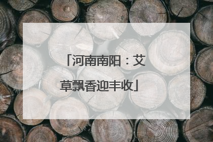 河南南阳：艾草飘香迎丰收