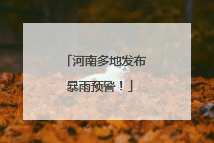 河南多地发布暴雨预警！