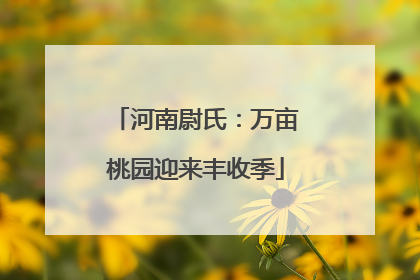 河南尉氏：万亩桃园迎来丰收季