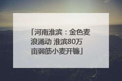 河南淮滨：金色麦浪涌动 淮滨80万亩弱筋小麦开镰