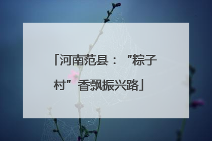 河南范县：“粽子村”香飘振兴路