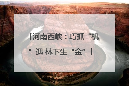 河南西峡：巧抓“机”遇 林下生“金”