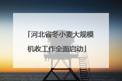 河北省冬小麦大规模机收工作全面启动
