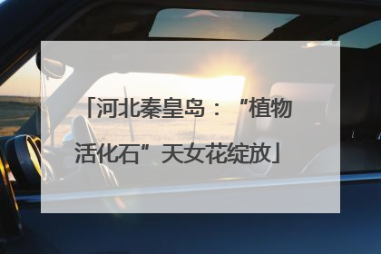 河北秦皇岛：“植物活化石”天女花绽放