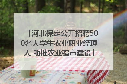 河北保定公开招聘500名大学生农业职业经理人 助推农业强市建设