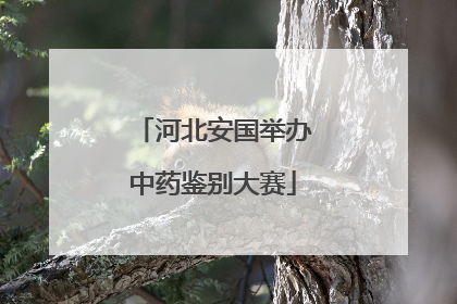 河北安国举办中药鉴别大赛