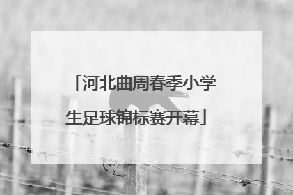 河北曲周春季小学生足球锦标赛开幕