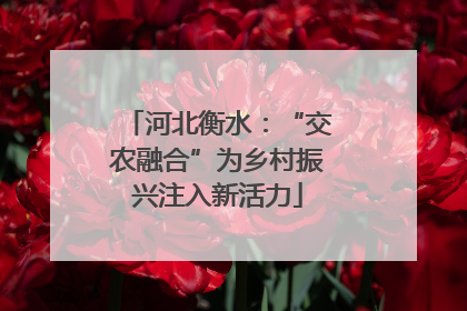 河北衡水：“交农融合”为乡村振兴注入新活力
