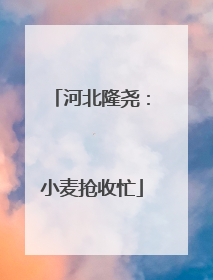 河北隆尧：小麦抢收忙