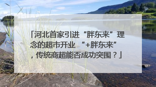 河北首家引进“胖东来”理念的超市开业 “+胖东来”，传统商超能否成功突围？