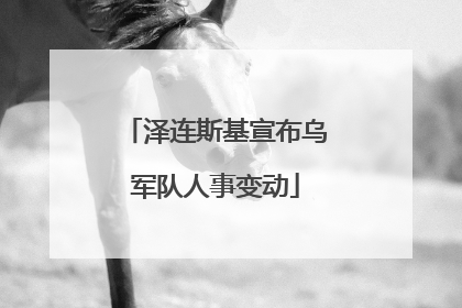 泽连斯基宣布乌军队人事变动