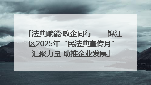 法典赋能·政企同行——锦江区2025年“民法典宣传月”汇聚力量 助推企业发展