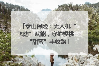 泰山保险：无人机“飞防”赋能，守护樱桃“甜蜜”丰收路