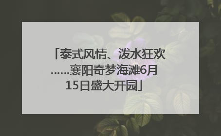 泰式风情、泼水狂欢……襄阳奇梦海滩6月15日盛大开园