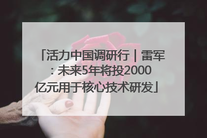 活力中国调研行｜雷军：未来5年将投2000亿元用于核心技术研发