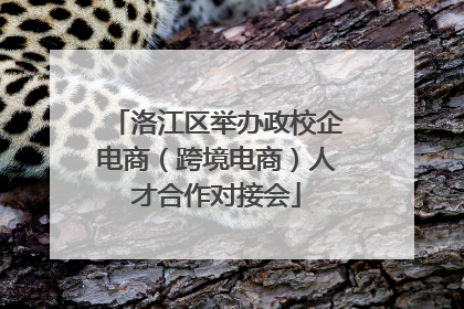 洛江区举办政校企电商（跨境电商）人才合作对接会