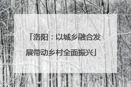 洛阳：以城乡融合发展带动乡村全面振兴