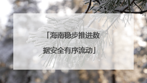 海南稳步推进数据安全有序流动