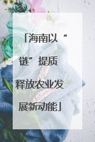 海南以“链”提质 释放农业发展新动能