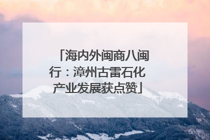 海内外闽商八闽行：漳州古雷石化产业发展获点赞