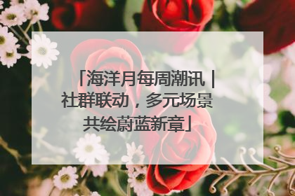 海洋月每周潮讯｜社群联动，多元场景共绘蔚蓝新章