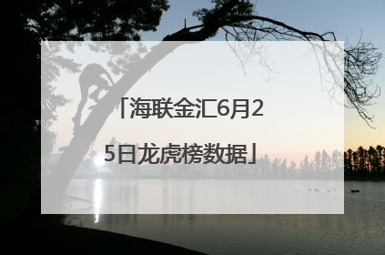 海联金汇6月25日龙虎榜数据