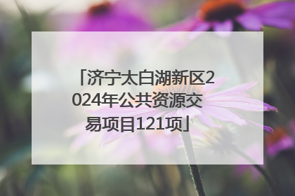 济宁太白湖新区2024年公共资源交易项目121项