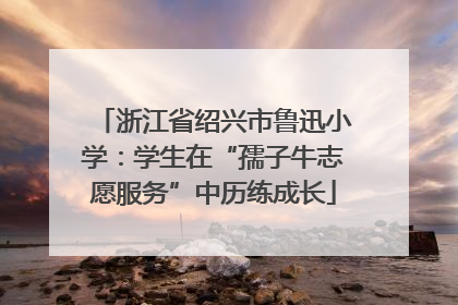浙江省绍兴市鲁迅小学：学生在“孺子牛志愿服务”中历练成长