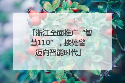 浙江全面推广“智慧110”，接处警迈向智能时代
