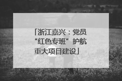 浙江嘉兴：党员“红色专班”护航重大项目建设