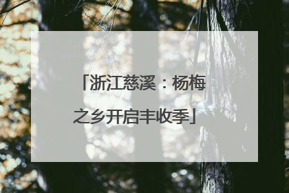 浙江慈溪：杨梅之乡开启丰收季
