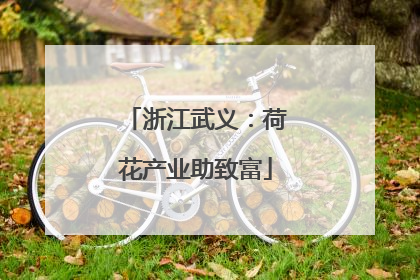 浙江武义：荷花产业助致富
