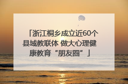 浙江桐乡成立近60个县域教联体 做大心理健康教育“朋友圈”