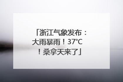 浙江气象发布：大雨暴雨！37℃！桑拿天来了