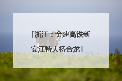 浙江：金建高铁新安江特大桥合龙