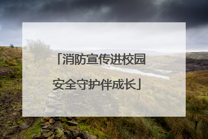 消防宣传进校园 安全守护伴成长